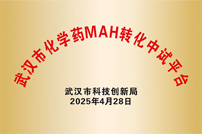 化学药MAH转化中试平台