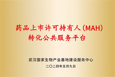 药品MAH转化服务平台