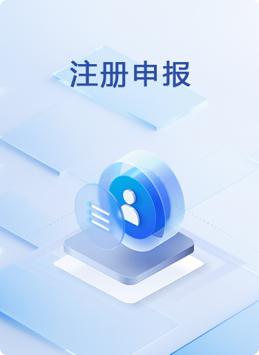 注册申报服务